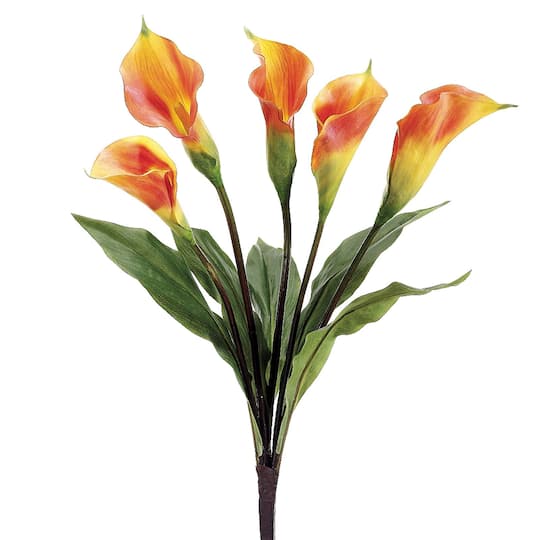 24" Calla Lily Bush, Yellow
